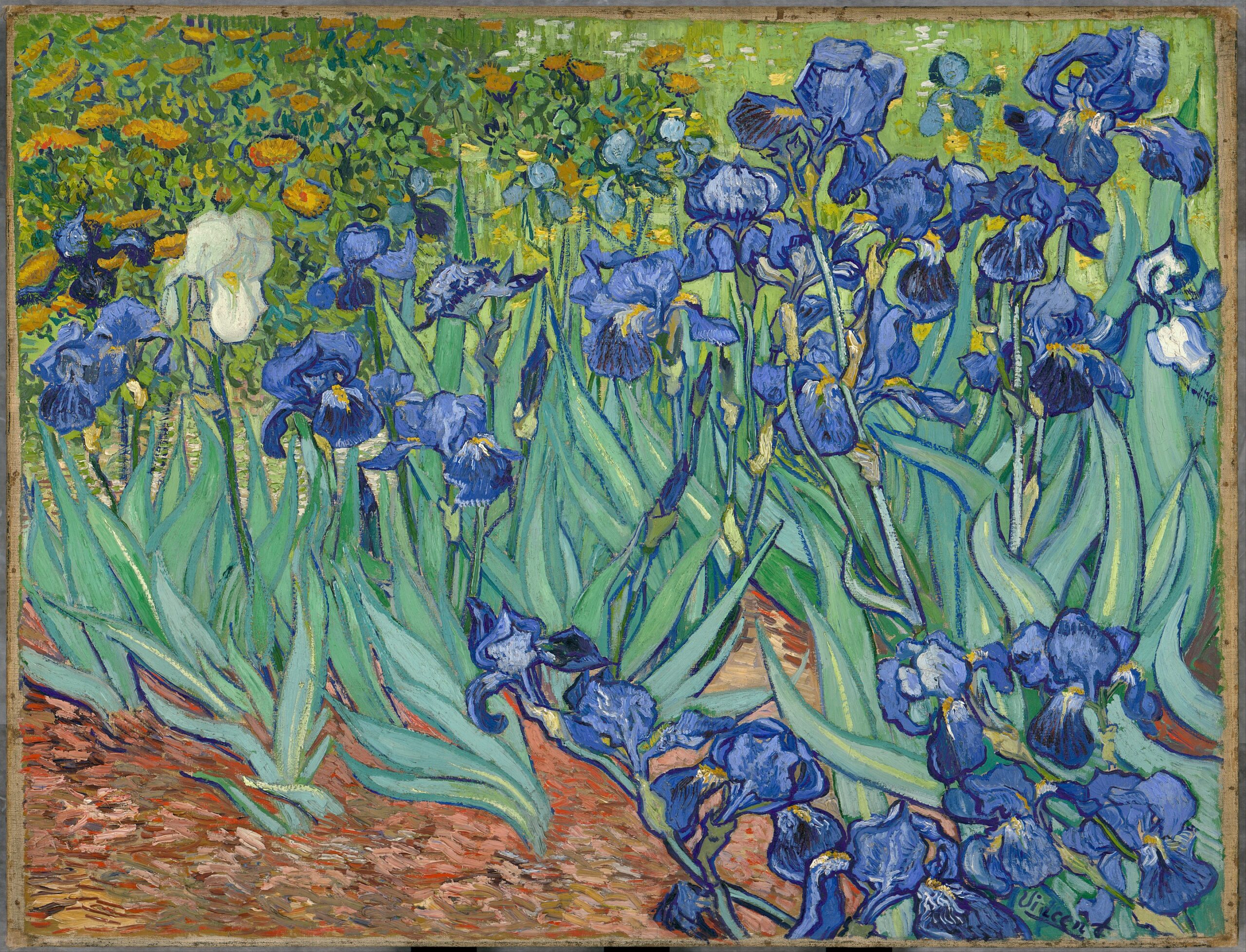 an impressionistic rendering of irises, painted by Vincen van Goh